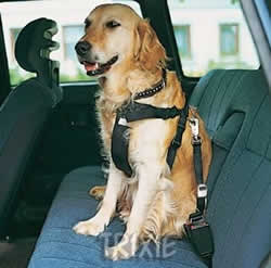 trixie_dog_car_harness.jpg