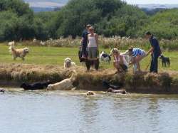 Click for a tour and more details... Pridelands Boarding Kennels in Lewes East Sussex