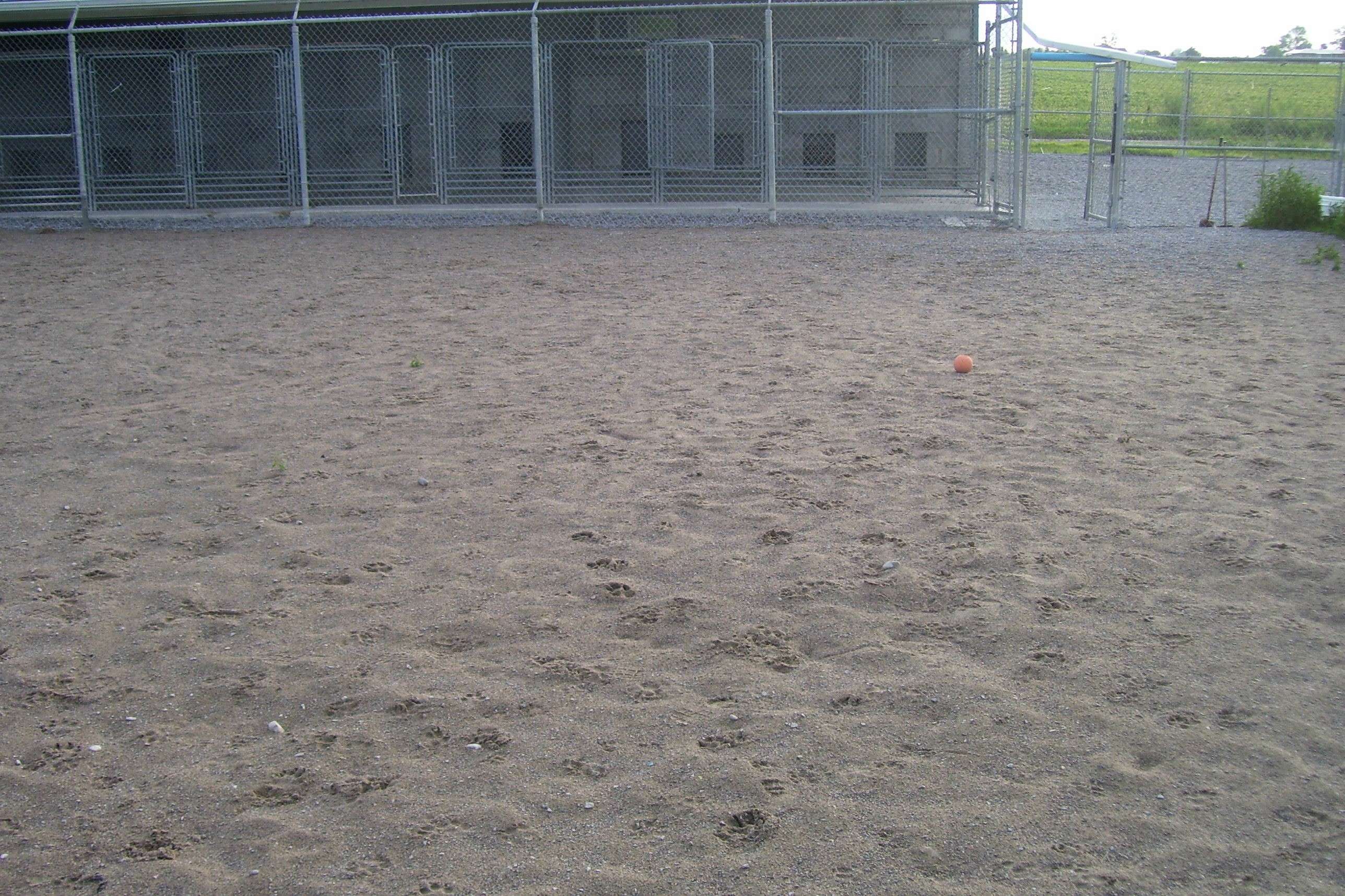 Dog Kennels Bowmanville Ontario Dog Kennels Bowmanville Ontario
