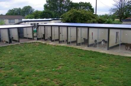 Dog Kennel And Run Coventry Dog Kennel And Run Coventry