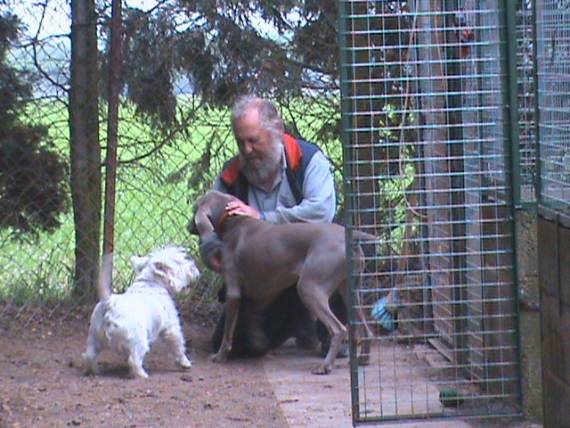 kennels staff