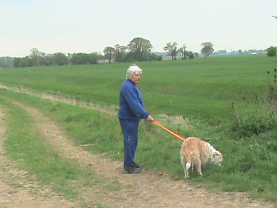 dog welfare in kennels