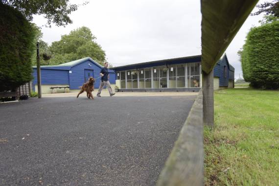 kennels building