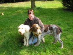Click for a tour and more details... Quiet Acres Boarding Kennels Boarding Kennels in Eye Suffolk