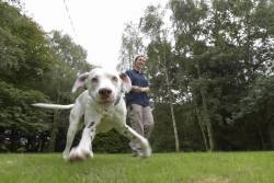 Quiet Acres Boarding Kennels in Eye, Suffolk