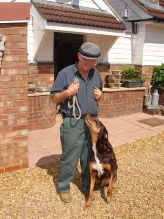 kennels staff