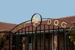 Top Dog Luxury Boarding Boarding Kennels Logo