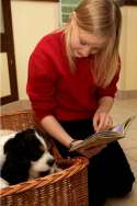 Dog Welfare in Boarding Kennels