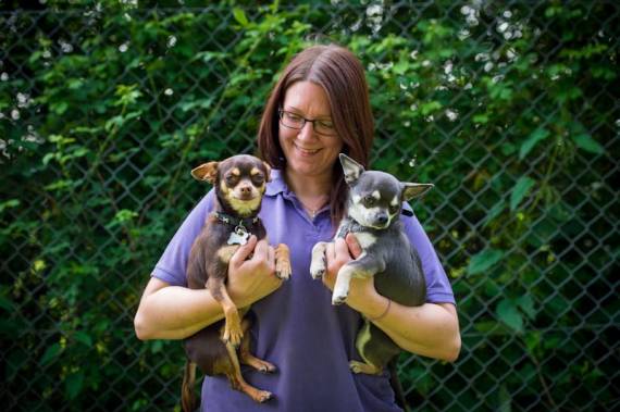 kennels staff