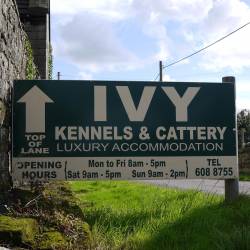 Ivy boarding kennels cheap