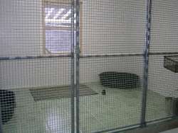 Boarding Kennels Sleep Accommodation