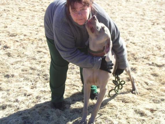 kennels staff