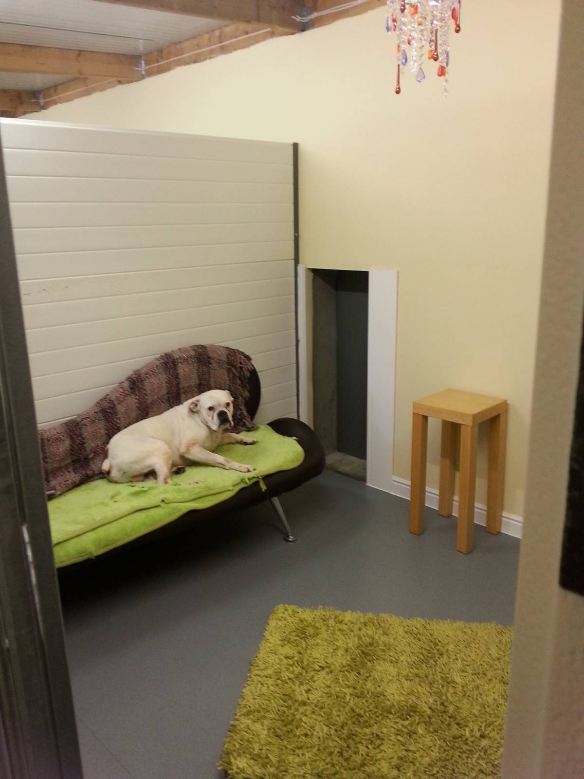 Bk kennels online