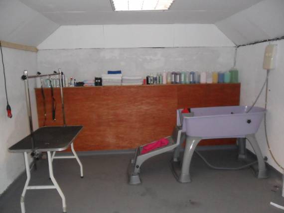 dog kennels services