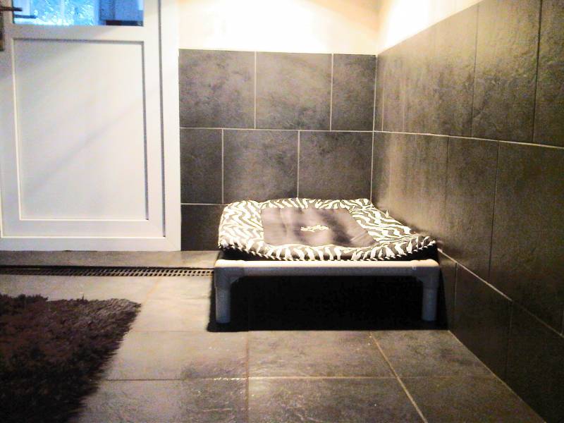 Hurworth burn sales luxury pet hotel